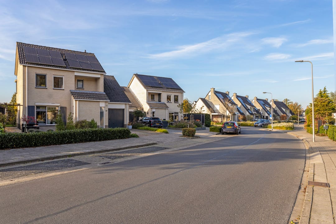 Photo 7 of Anemoon 37