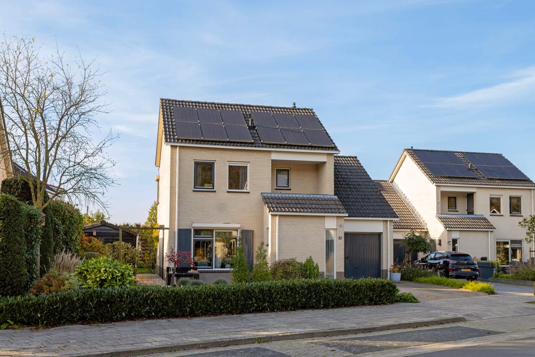 Photo 8 of Anemoon 37