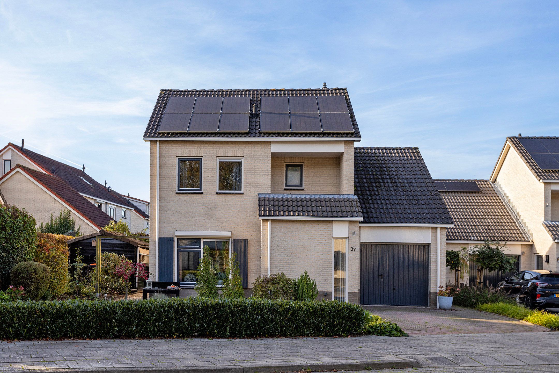 Photo 9 of Anemoon 37