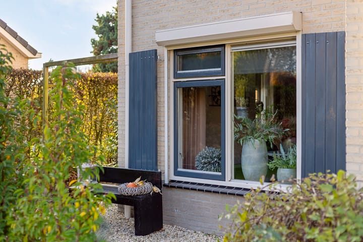 Foto 10 van Anemoon 37