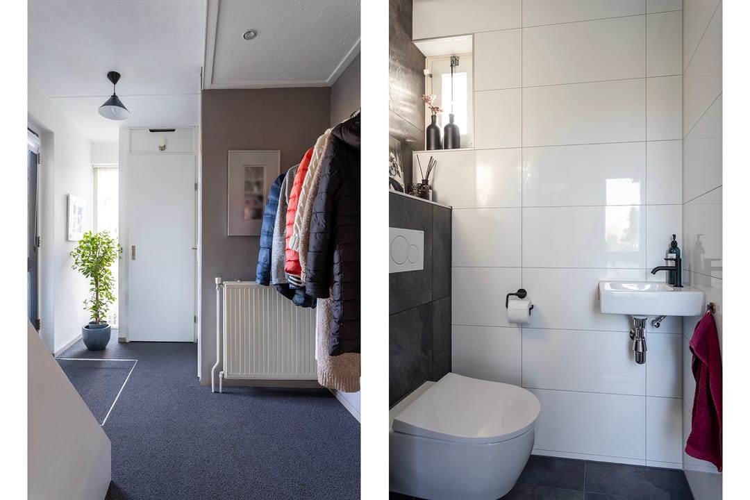 Photo 11 of Anemoon 37