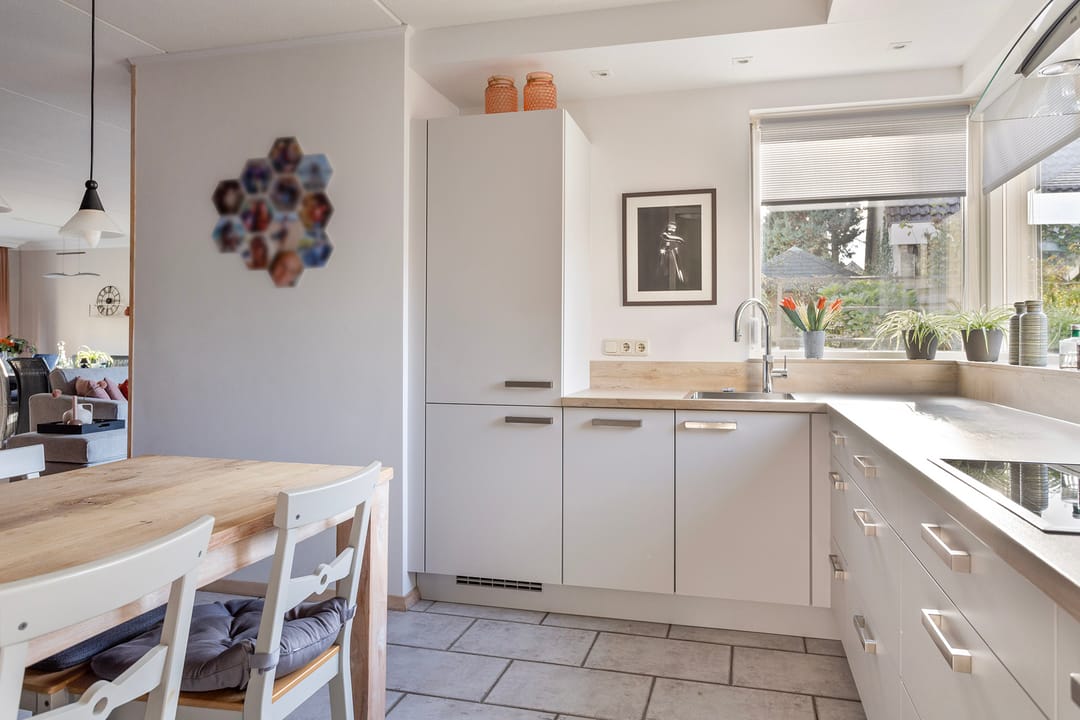 Photo 16 of Anemoon 37