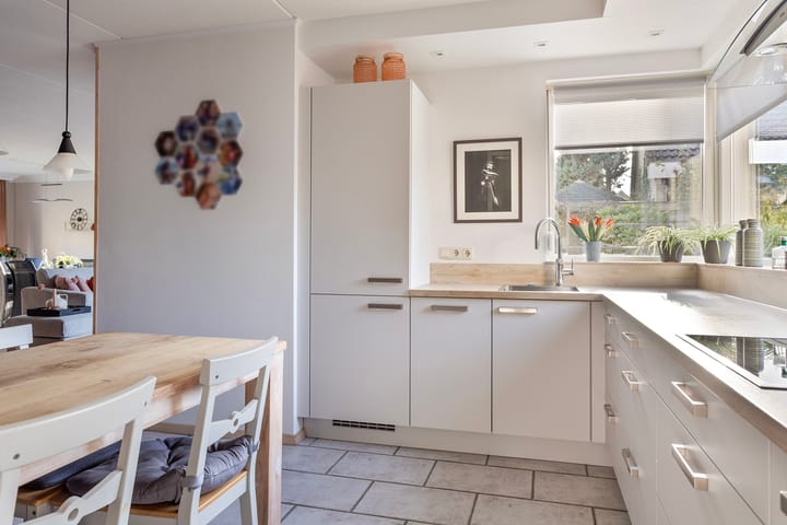 Foto 16 van Anemoon 37