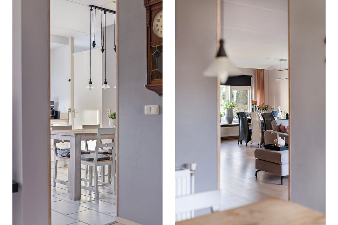 Photo 17 of Anemoon 37