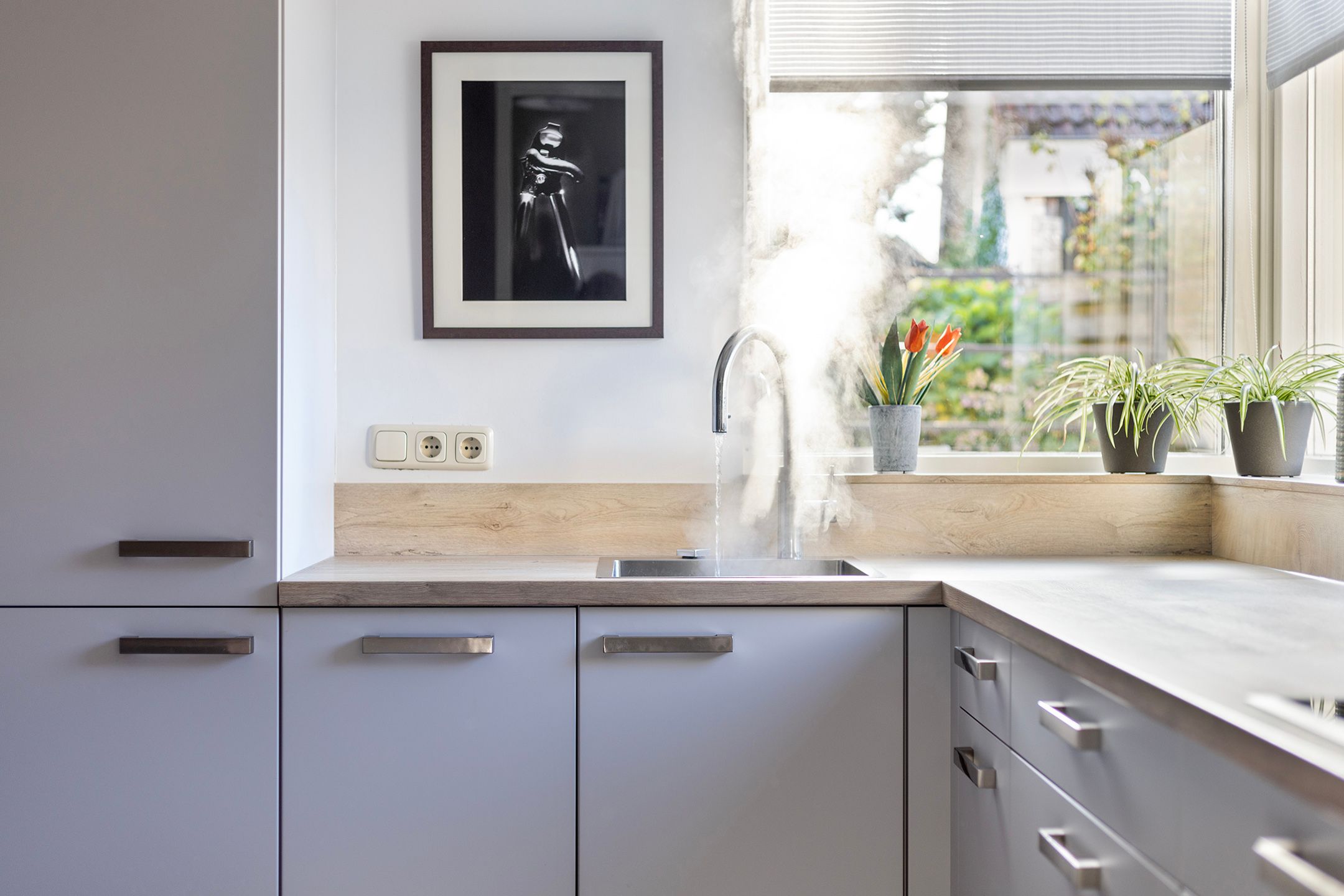 Photo 18 of Anemoon 37