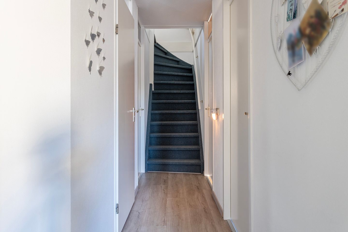 Photo 20 of Anemoon 37