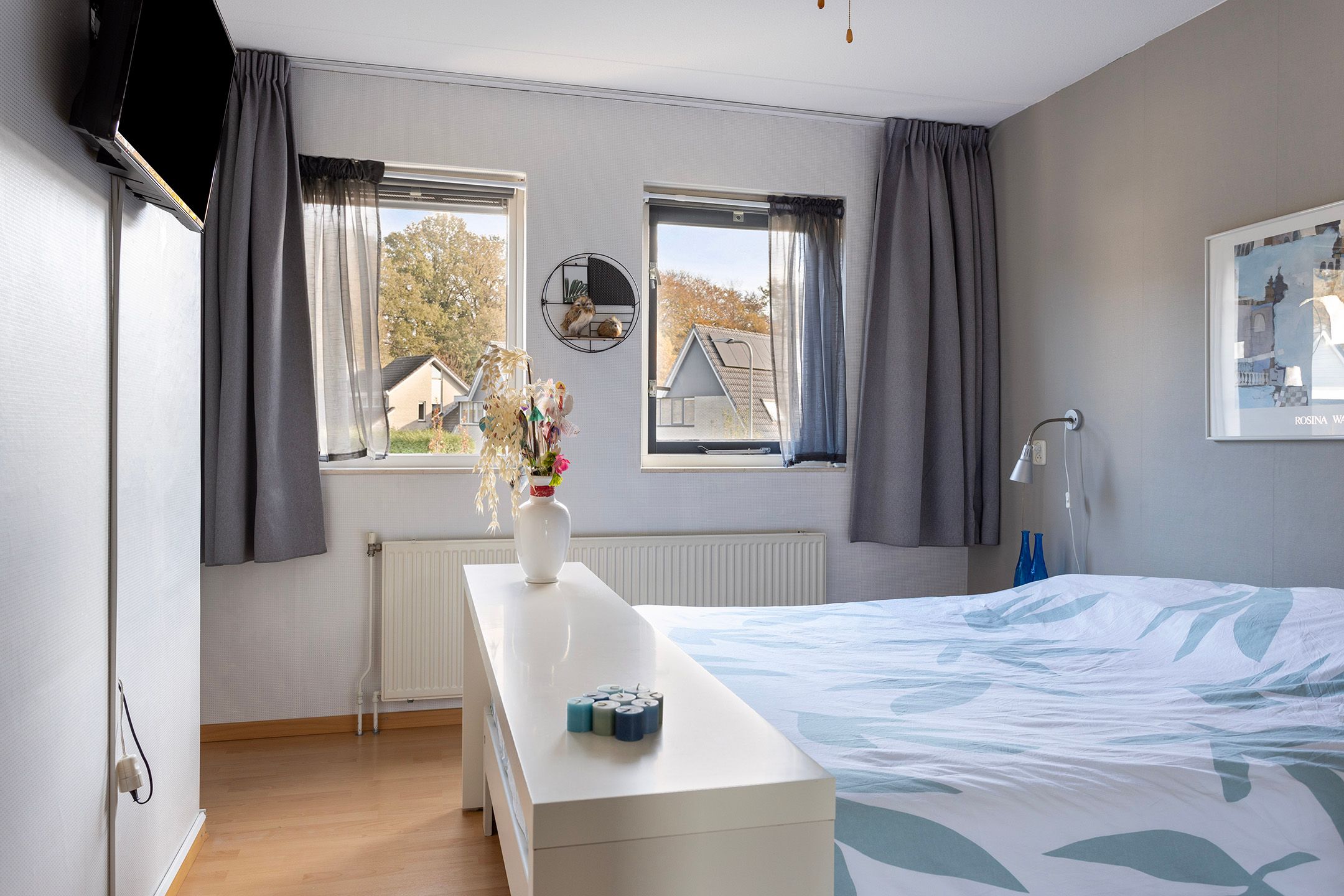 Photo 21 of Anemoon 37