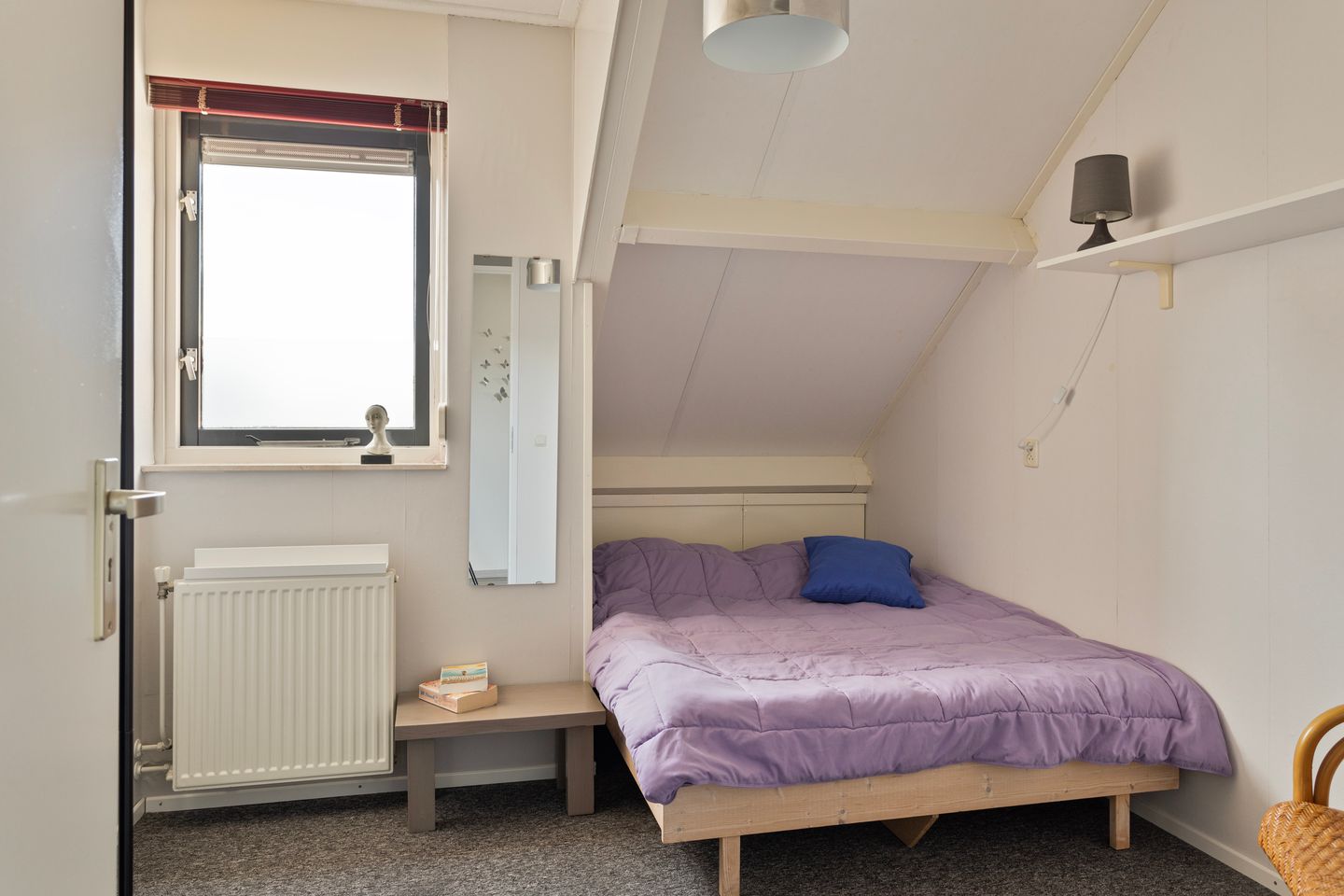 Photo 25 of Anemoon 37