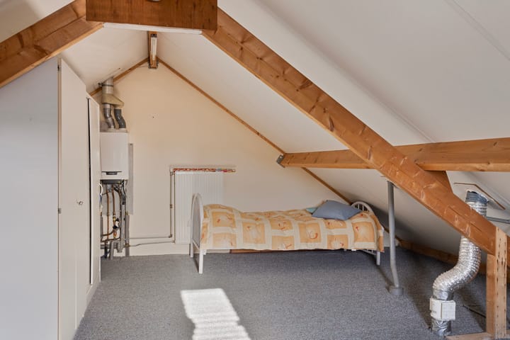 Foto 28 van Anemoon 37