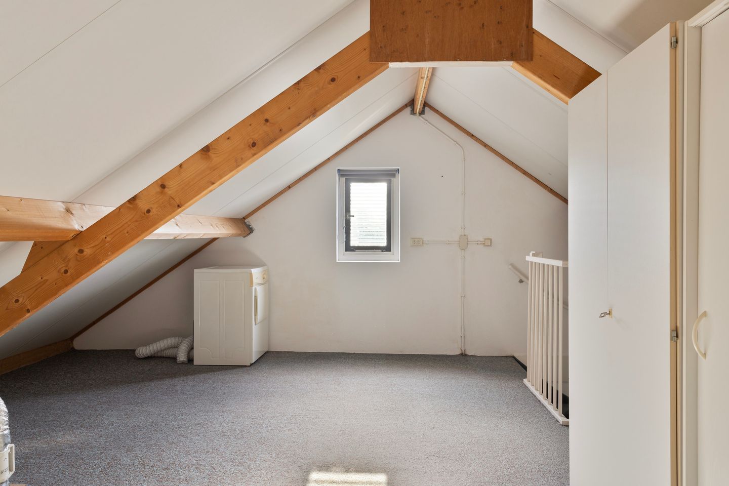 Photo 29 of Anemoon 37