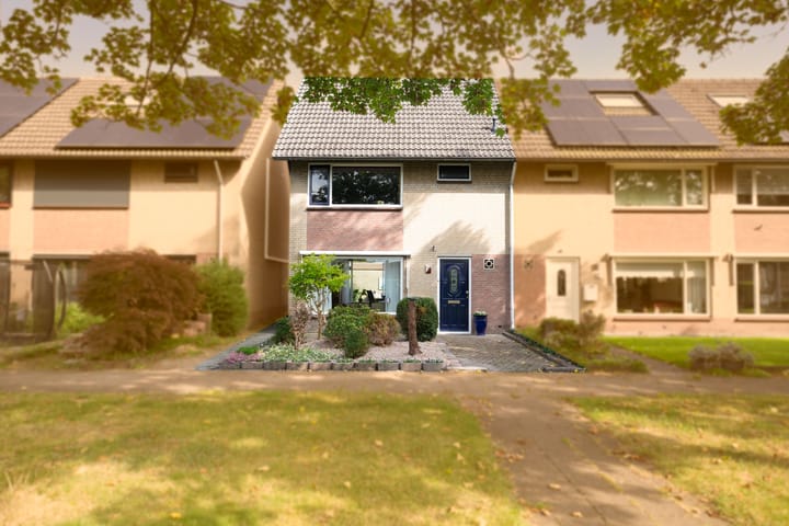 Foto 4 van Peter Benoitpark 11