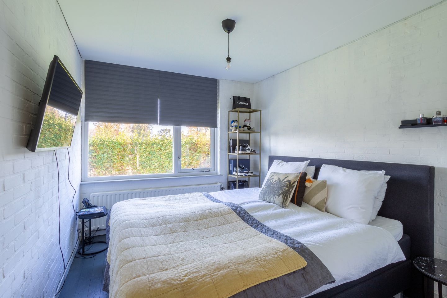 Foto 19 van Snelliusstraat 9