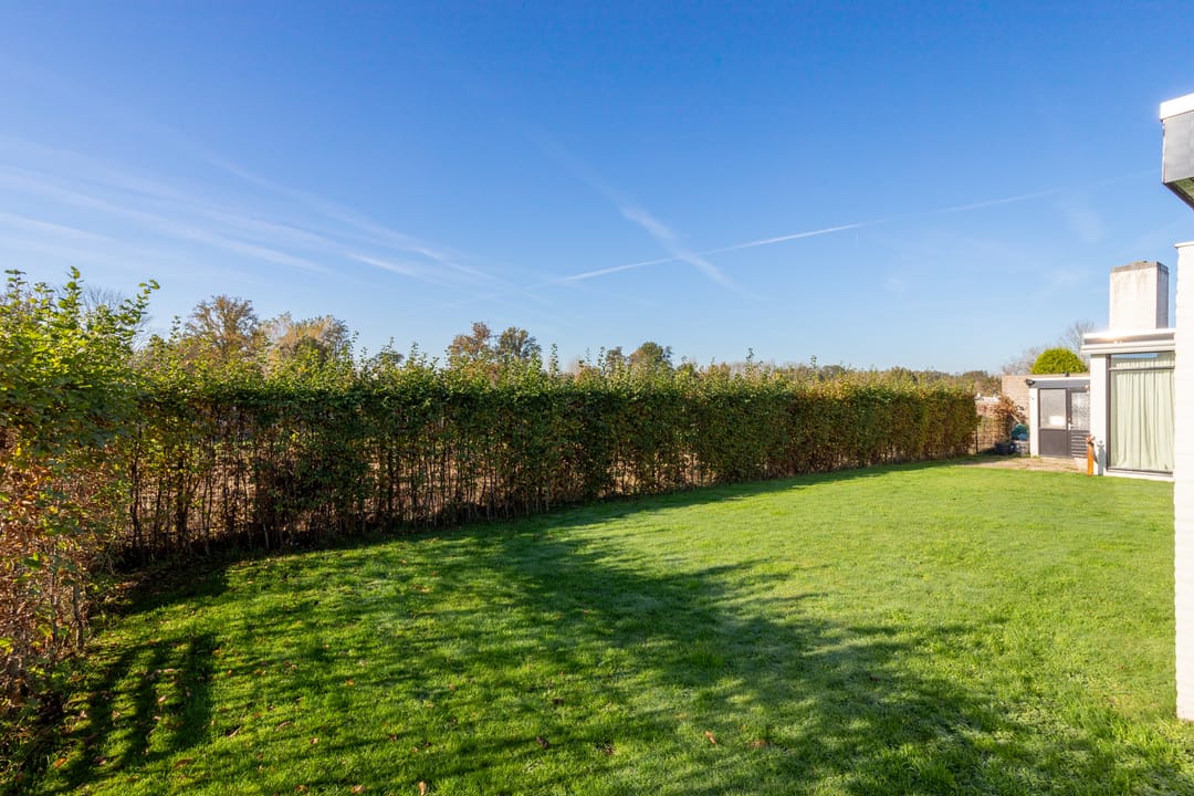 Foto 31 van Snelliusstraat 9