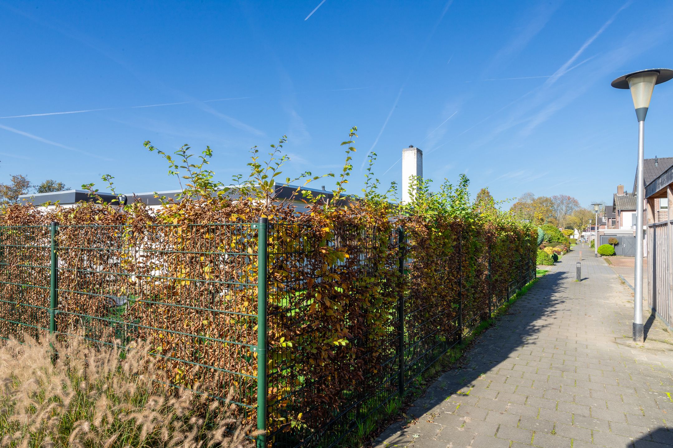 Foto 36 van Snelliusstraat 9