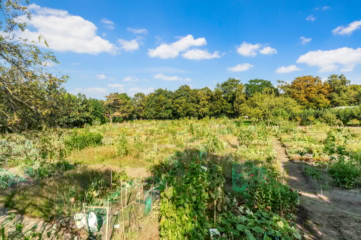 Foto 27 van Mient 230