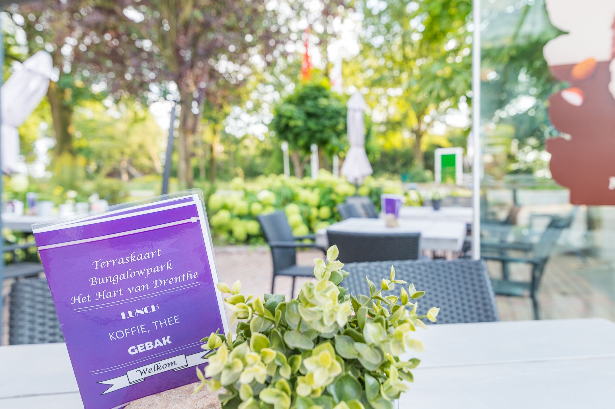 Foto 54 van Het Zwiggelterveld 167