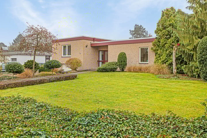 undefined main image