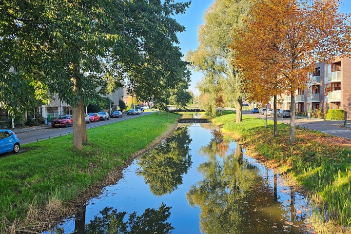 Bekijk foto 3 van Hartschelpsingel 12