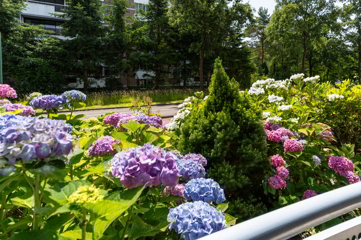 Foto 18 van Sperwerlaan 5