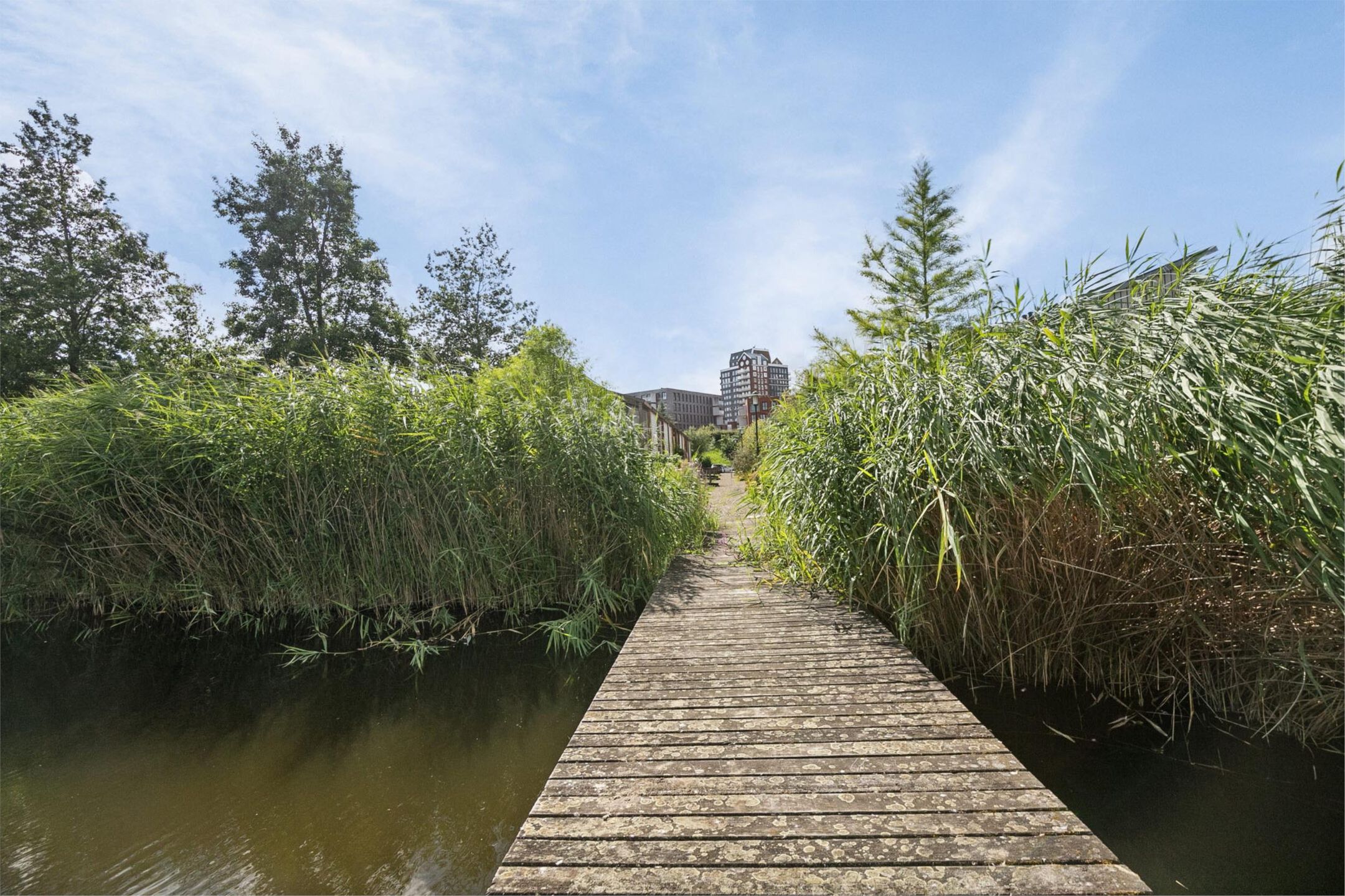 Photo 36 of Nijlstroom 20