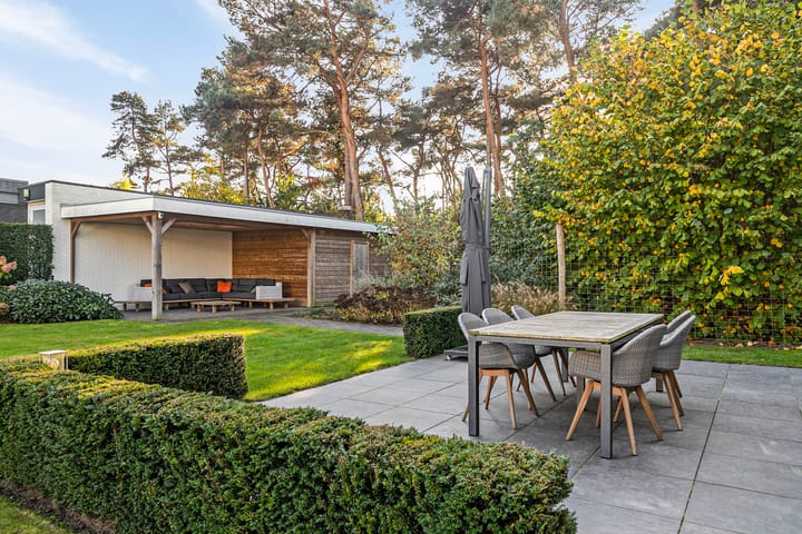 Foto 43 van Grutto 7