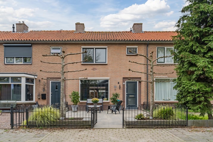 undefined main image