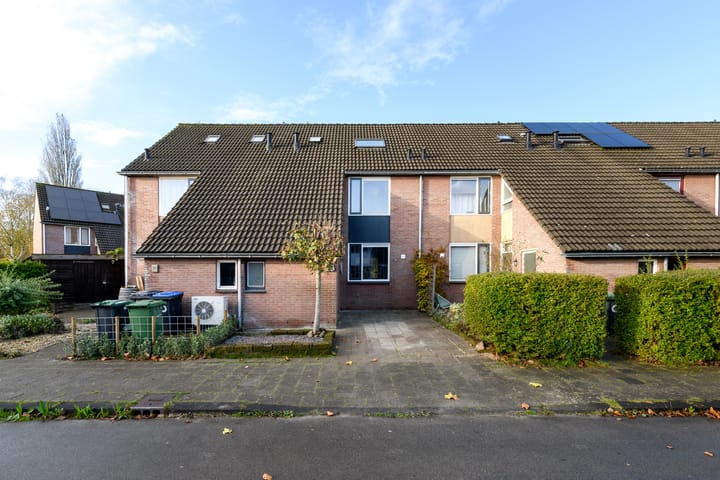 Foto 5 van Dorsvloer 19