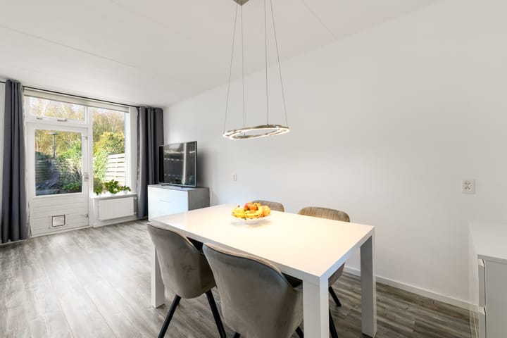 Foto 12 van Dorsvloer 19