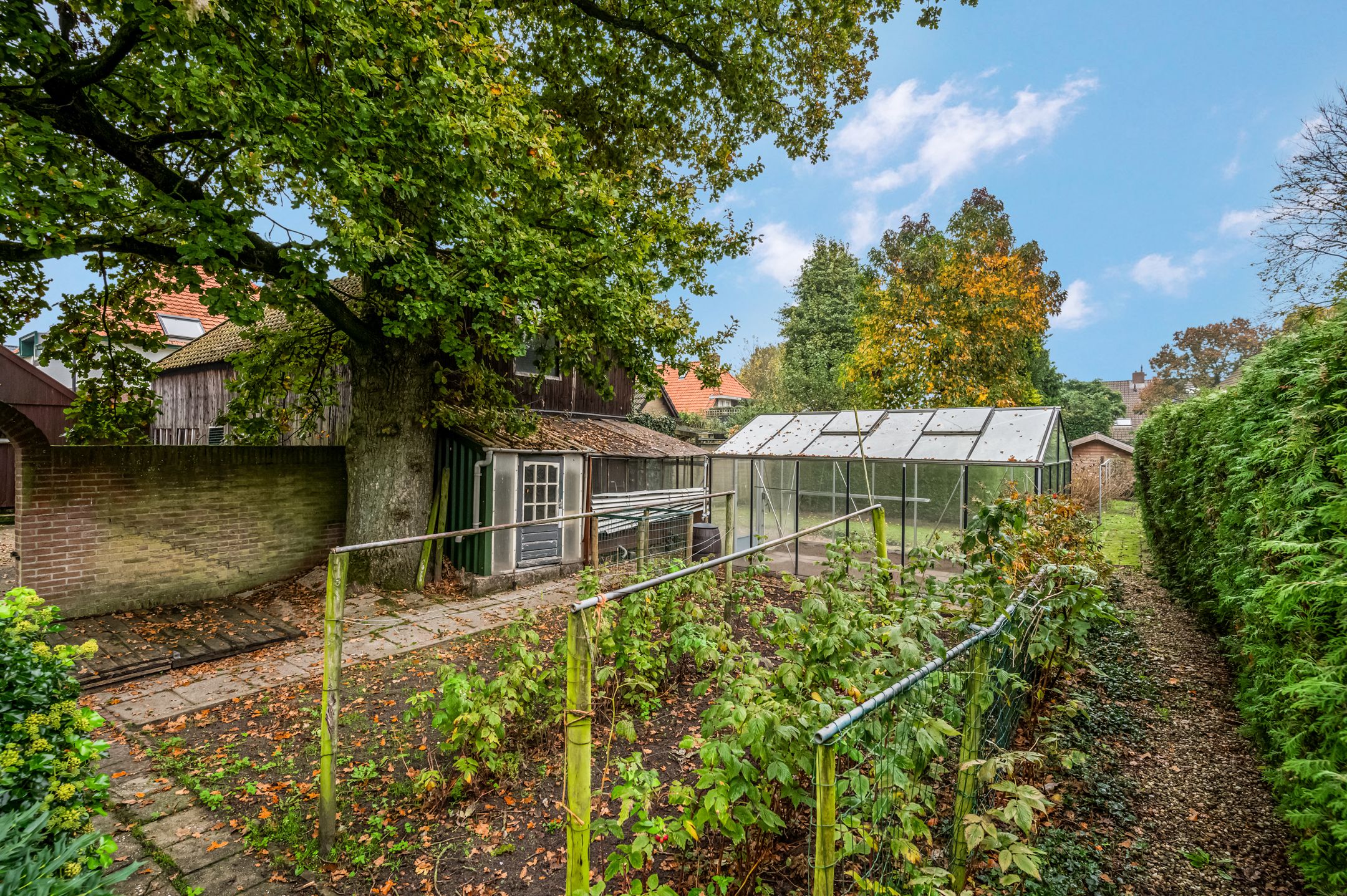 Foto 30 van Middelweg 41