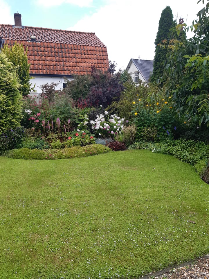 Foto 35 van Middelweg 41