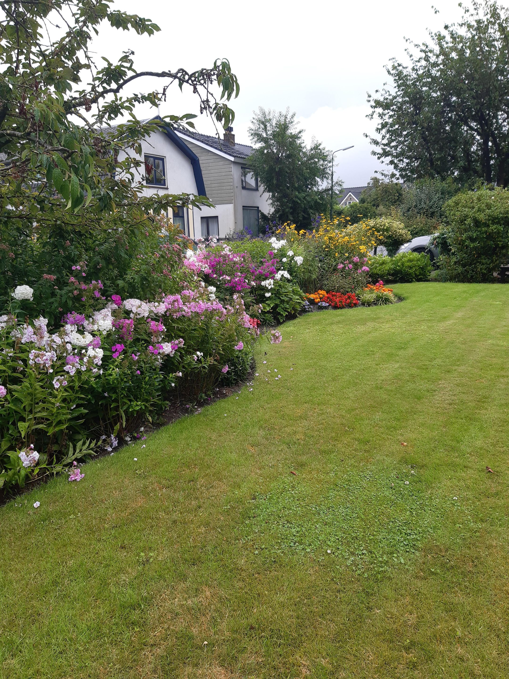 Foto 36 van Middelweg 41