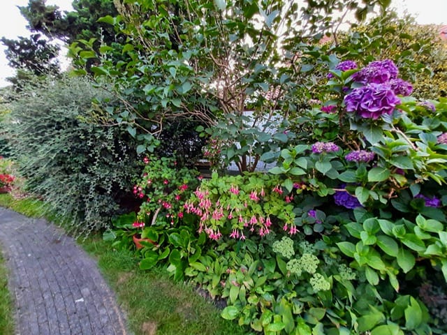 Foto 37 van Middelweg 41