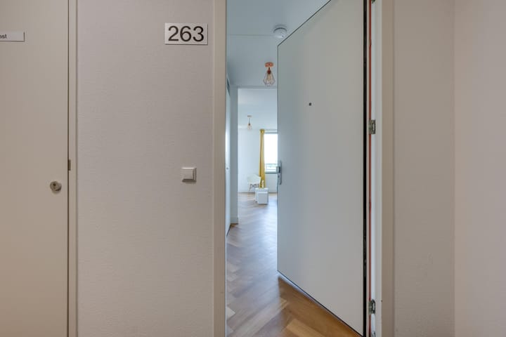 Foto 5 van Rinus Michelslaan 263