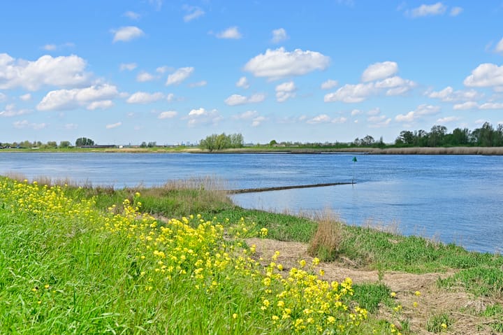 Foto 3 van Nieuwe Veer 38