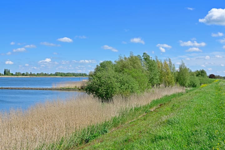 Foto 5 van Nieuwe Veer 38