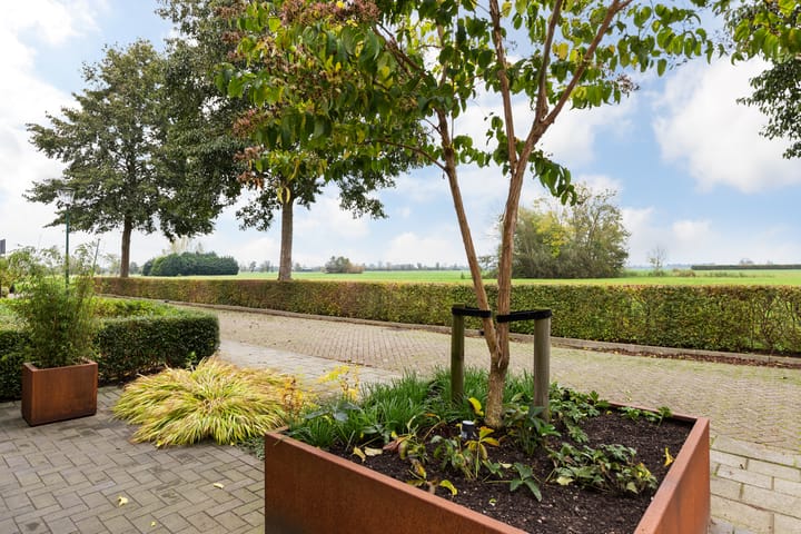 Foto 3 van Morgenster 53