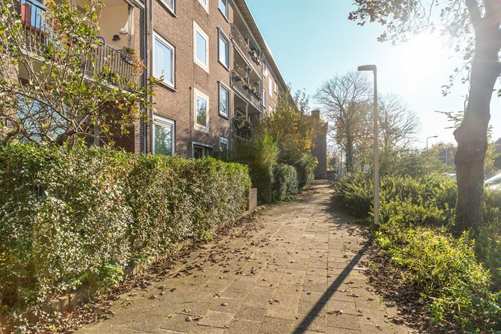 View photo 42 of Tijgerstraat 117