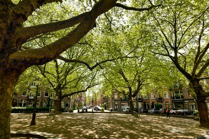 Foto 25 van Da Costastraat 10-3