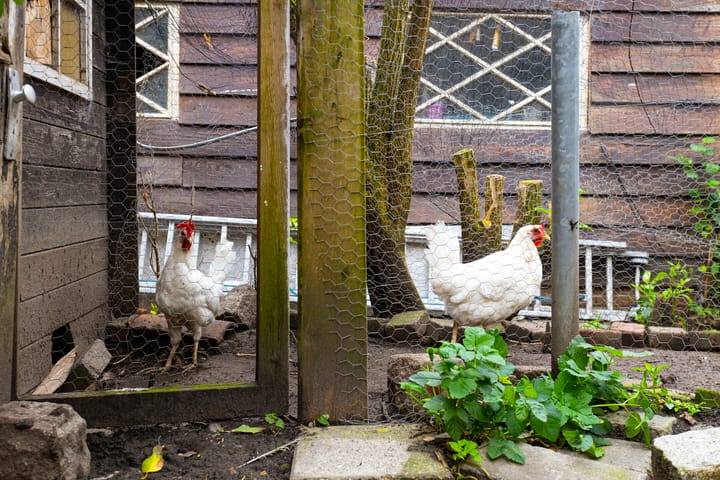 Photo 31 of Batterij 12