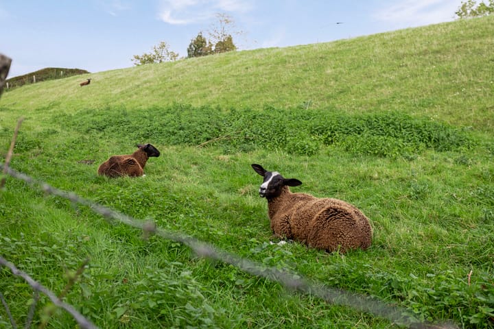 Photo 37 of Batterij 12