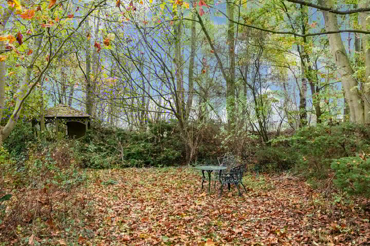 Foto 50 van Eesterweg 13