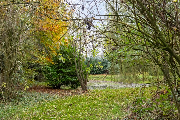 Foto 52 van Eesterweg 13