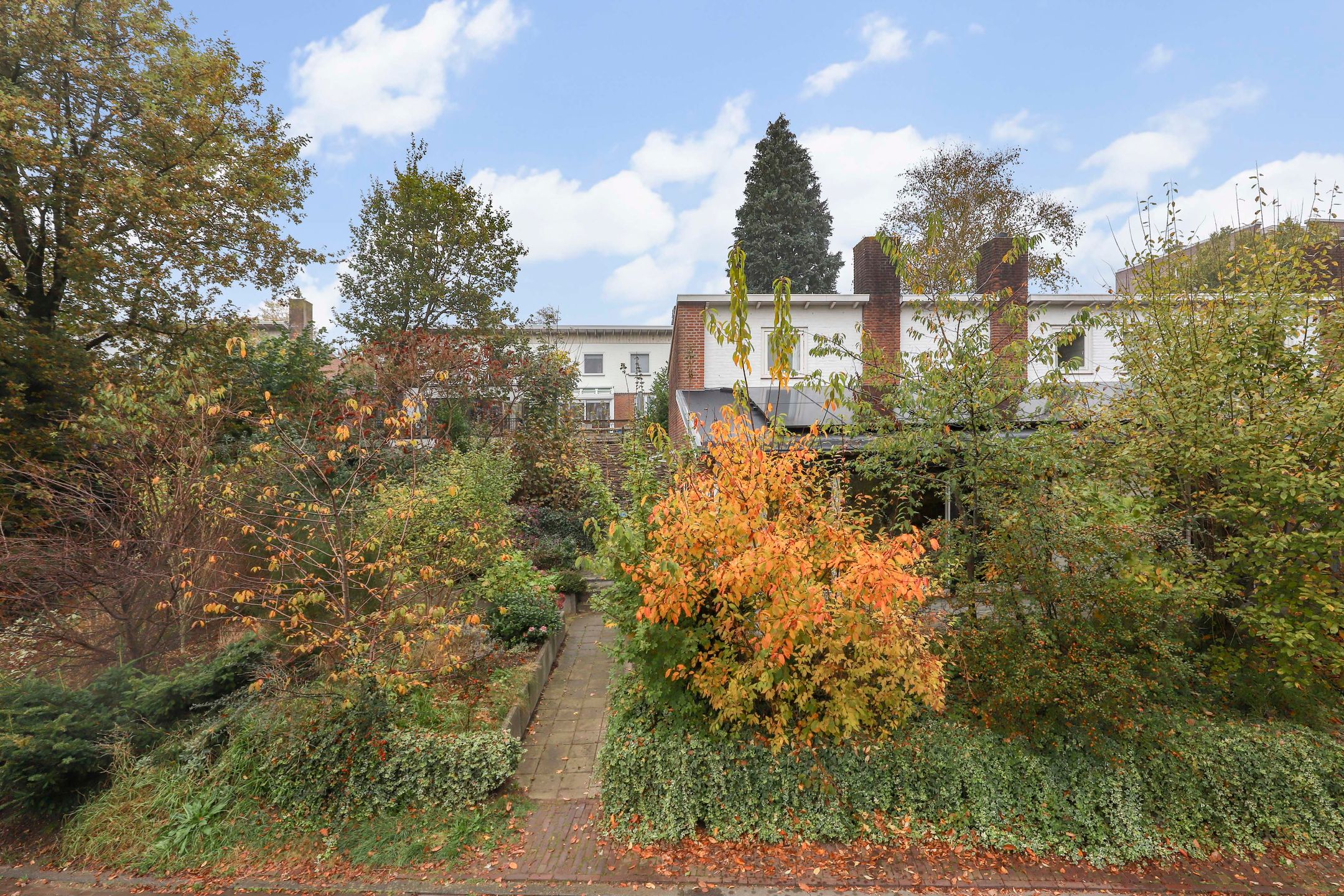 Foto 3 van Cort van der Lindenlaan 4