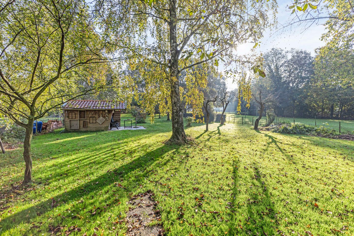 Foto 49 van Houtsestraat 6