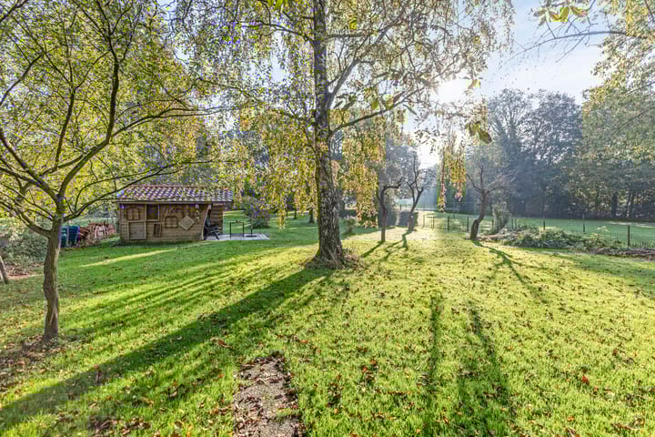 Foto 49 van Houtsestraat 6