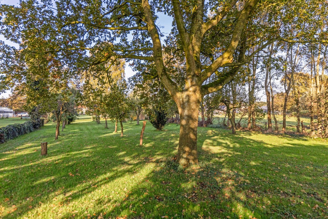 Foto 52 van Houtsestraat 6