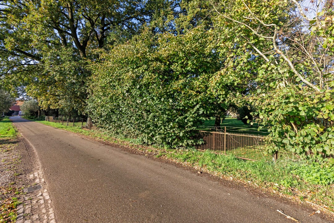 Foto 53 van Houtsestraat 6