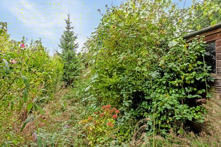 Foto 20 van Gerretsenpad 5