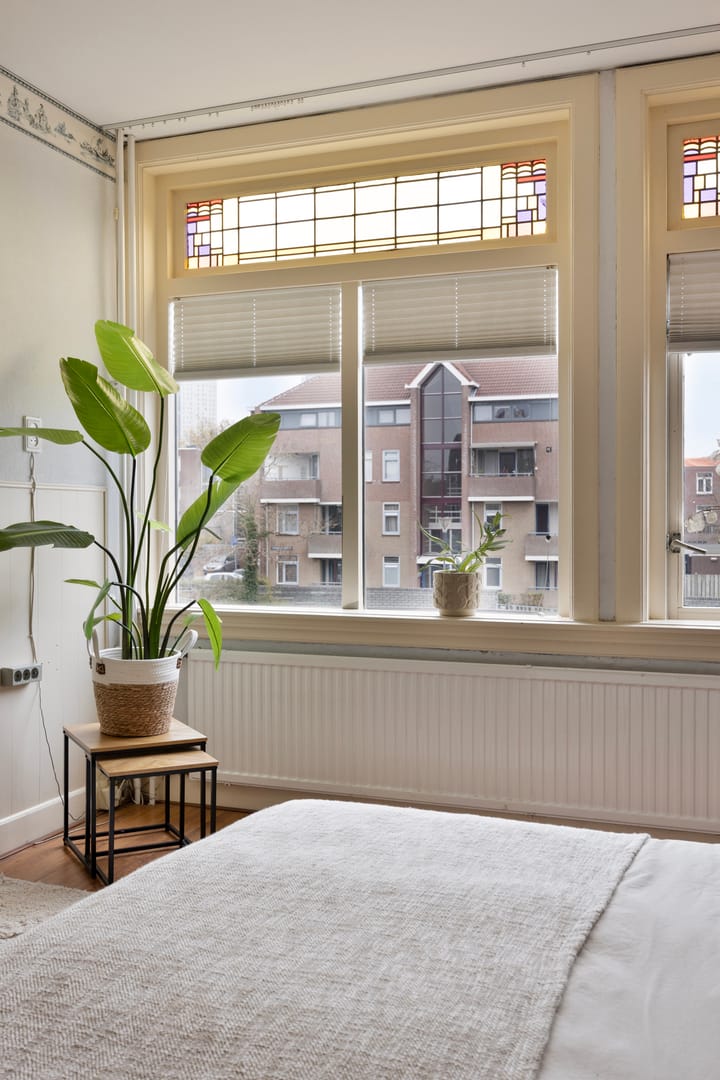 Foto 29 van Lodewijk Napoleonplein 15