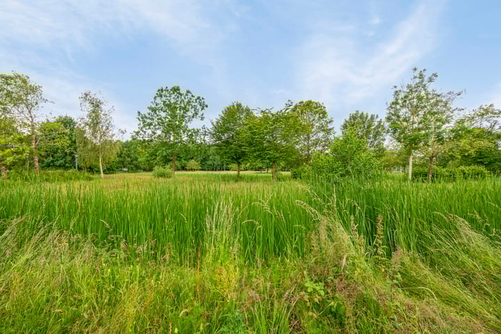 Foto 57 van Park de Wervelaan 3